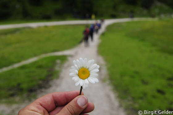 bergsommer06