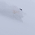 bergwinter03thmb