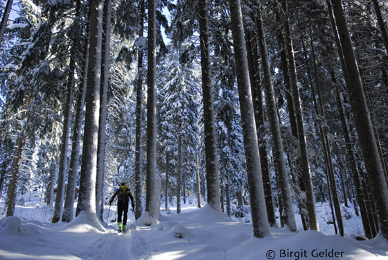 bergwinter06