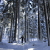 bergwinter06thmb