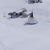 bergwinter07thmb